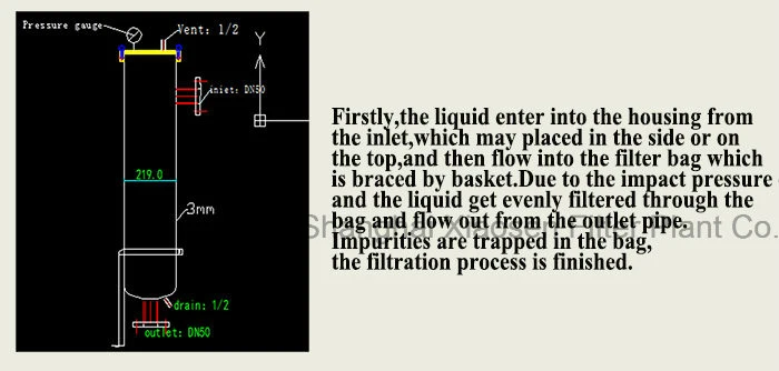 Single Bag Filter for Depth Filtration